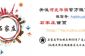 政法行测小秘笈|逻辑推理中的最大信息法的应用图片