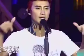 陈志朋台上独唱小虎队歌曲，苏有朋吴奇隆台下含泪跟唱视频封面