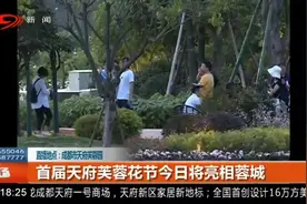 成都市天府芙蓉园：走进芙蓉园，看花重锦官城视频封面