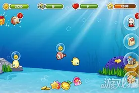 开心水族箱投喂鱼食注意事项详细解析图片