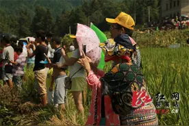 辰溪:水上飞艇表演助阵稻花鱼节图片