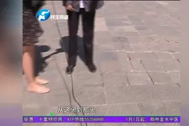 郑州一公园附近地砖凸起变“跷跷板”行人易绊倒 市民望尽快修补视频封面