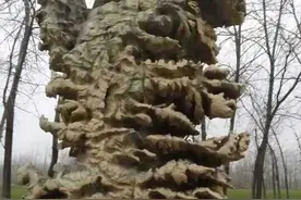 说说灵璧石（一）图片