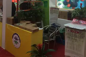明日叶现身上海新春农产品大联展图片