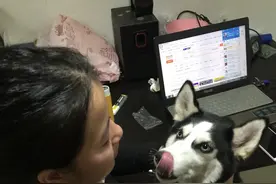 很多人都说我这样，吹不干狗毛，只是你们的方式不对而已图片