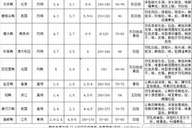 国内常见9个鸭的品种介绍图片