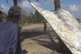前民航职工：泰国发现的疑似马航MH370残骸隐瞒了部分真相图片