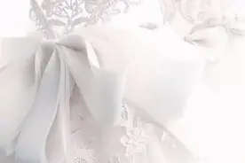 蕾丝也能当婚纱？我读书少不要这么骗我图片