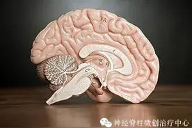 冬季寒冷，脊髓空洞症养生四步走图片