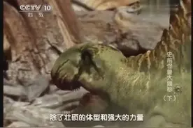 地球上最早的巨型爬行动物长棘龙捕猎基龙视频封面