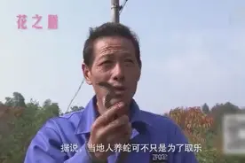 农民逮到一只眼镜蛇！非但不怕反而生吞！图片