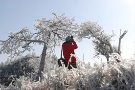 广东下雪有史可查，2016第一场雪来了图片