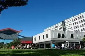 靠留学拿新西兰PR？千万别去奥克兰！图片
