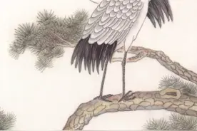 故宫太和殿前的仙鹤和神龟：你猜它们是做什么的图片