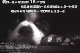 我与你的约定图片