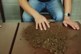 天狼说月季 | 月季栽培土壤（基质）的配比视频封面