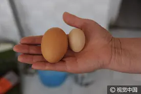 “迷你”鸡蛋打开没有蛋黄图片