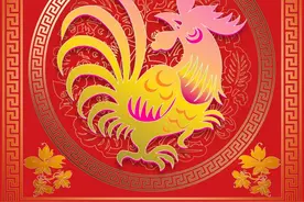 一不小心就离婚，到底什么生肖这么悲催呢？图片