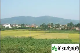 革命英烈李慰农：从农民博士到工运先驱图片