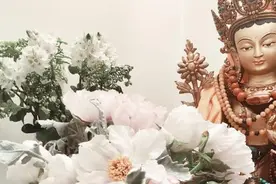 寻龙诀提名陈坤没有PK过黄渤，但文玩收藏上却大胜黄渤!图片