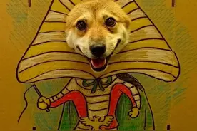 柴犬的无奈cosplay，咦违和感跑到哪里去了？图片