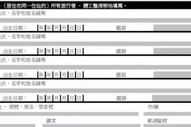 加拿大入关申报表图片