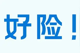 动物保护协会志愿者摸黑救援 坠入排气管的小狗得救了图片