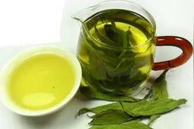 甜菊叶茶的泡法及功效图片