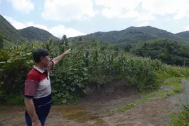 部分退耕还林户多年未见补偿款图片