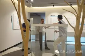 中国建筑装饰协会材料分会秘书长到访森林之星图片