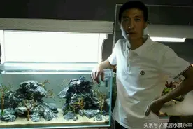 良辰整体水景缸造景欣赏图片