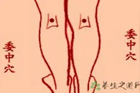 双腿正中是什么穴位图片