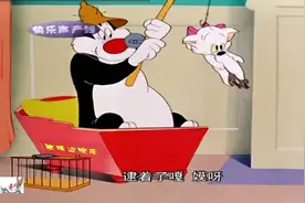 烧包谷之眼睛涩，新绝招用小猫当饵钓老鼠，猫钓老鼠好吃懒做！视频封面