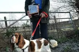 退休老人突遇汪星人狂叫刨坑，爱犬怪异行为换回了鸽蛋大钻石图片