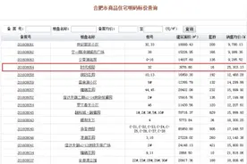 滨湖价格担当万科时代之光再备案 复式毛坯25303元/㎡图片