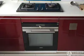 3万6的西门子微波烤箱烤的鸭子原来是这个味儿图片