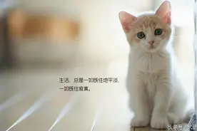 90、00后垮掉的一代？最后亮了图片