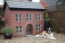 男子花费2万为爱犬建造奢华狗窝图片
