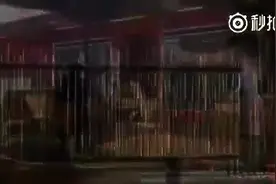 好贱的阿三，都以为他背的是炸弹，真会玩图片
