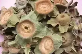 盘点古人研究出来的“避孕药”：印度竟然用上了动物的粪便图片