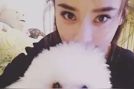 袁姗姗的狗狗卖萌 翻白眼 亲亲样样都会 感觉好甜蜜图片