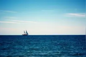 泥潭历险记图片