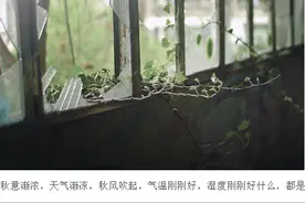 我想你 但还是学着忘记你图片