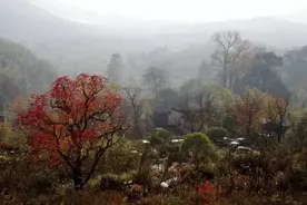 你的离去，注定了秋天是悲凉的图片