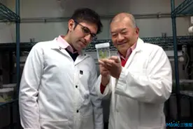 科学家研究通过3D生物打印植物细胞合成木材图片