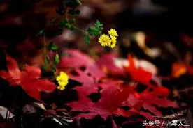 芳华青春在一痕墨里浅搁图片