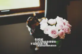 看到别人伤口时，忍着吧，不要去撒那一把盐。图片