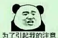 偶像居然能变另一半，追星汪们你们有福了！图片