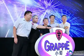 引领轻饮时代！张裕推出国内首款加果汁葡萄酒图片