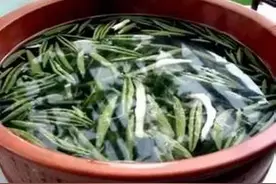 用美食诠释爱情，道道说的经典，句句说的实在！图片